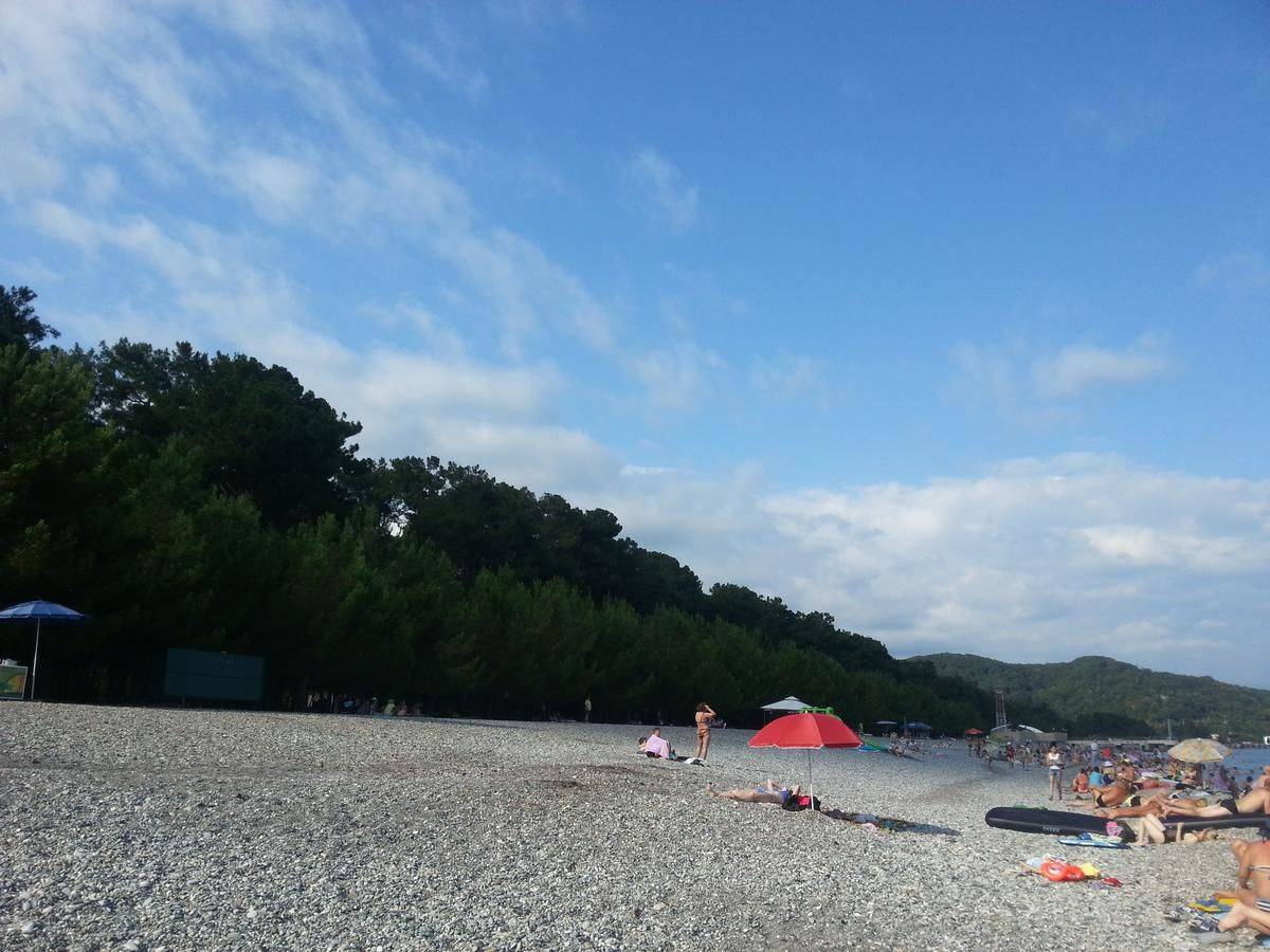 Фотографии номера Трехместный номер с видом на горы в Гостевом доме Гостевой дом Южная Пальмира Пицунда